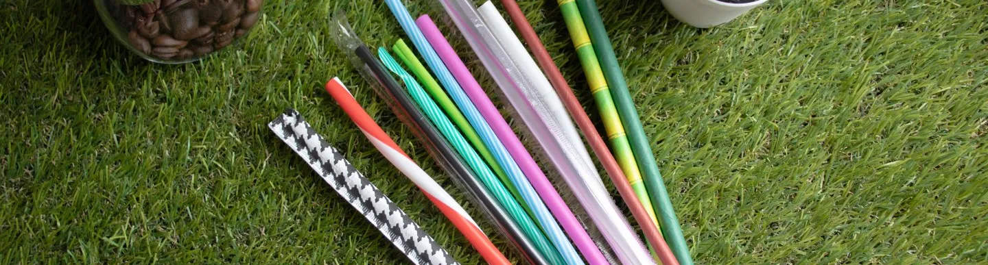  Eco Friendly Materials img 5465