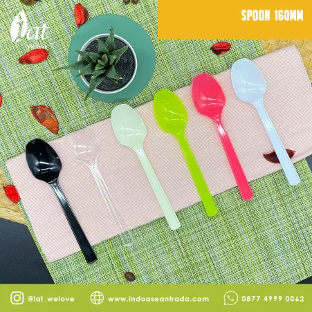 Cutlery Spoon 160mm 1 spoon__1